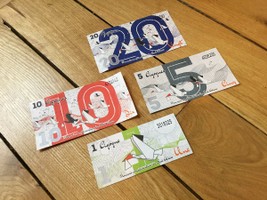 POLYPOD_monnaie-complementaire_La-Cigogne_billets-verso.jpg