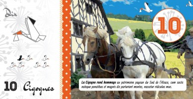 les-billets-de-la-cigogne-du-sud-alsace-10.jpg