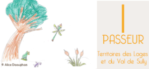 coupon-1euros-verso-300x139.png