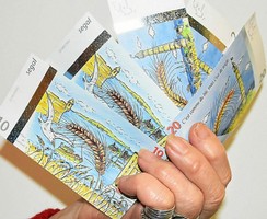 Segal-monnaie-locale-soiree-speciale-segal-a-la-biocoop_3807158.jpg
