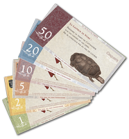 Sol-Olympe-billets-768x827.png