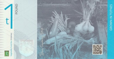 bb7301_8f5df3fa123a4ac4891a22a27cba6e89_mv2.jpg
