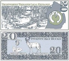 baybuck-20.jpg