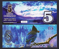 5-communitydollars.jpg