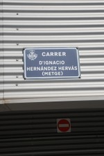IMGL7176_resize.JPG