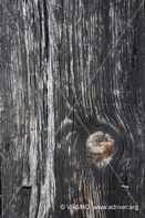 Madera 2