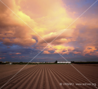 Paisaje 5