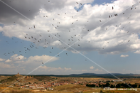 Paisaje 16
