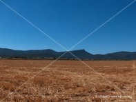 Paisaje 17
