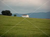 Paisaje 19