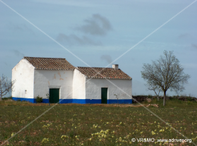 Paisaje 21