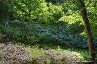 Paisaje 26