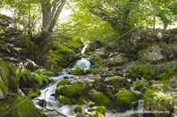Paisaje 28
