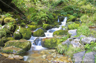 Paisaje 30