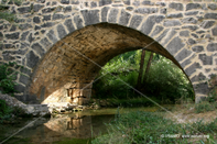 Paisaje 25