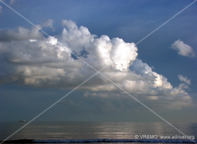 Paisaje 38