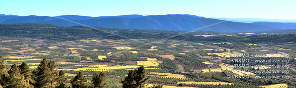 Pano 32