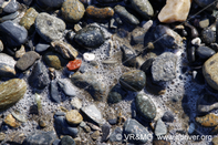 Piedra 9