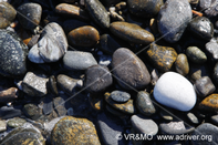 Piedra 10